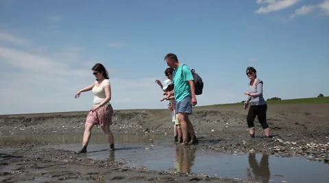 Trip in the mudflat of the North Sea Stock Footage 61835533
