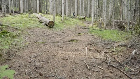 A trip to nature 스톡 동영상 285543168