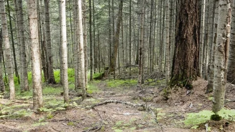 A trip to nature Stockbeeldmateriaal 285543236