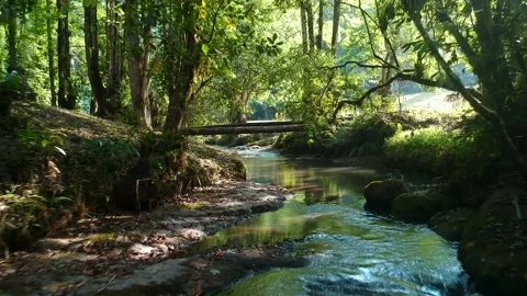 A trip over a calm stream of water sorrounded by green trees Stock Footage 136428517