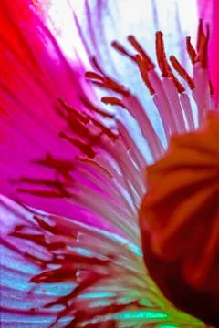 The Trip Stock Photos