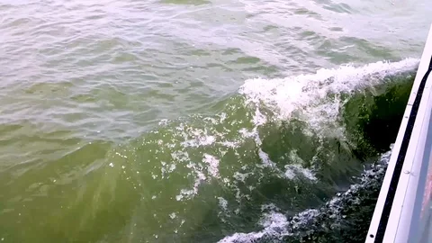 Trip by the red ship Stock Footage 91459397