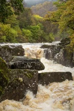 Trip to .Scotland Stock Photos