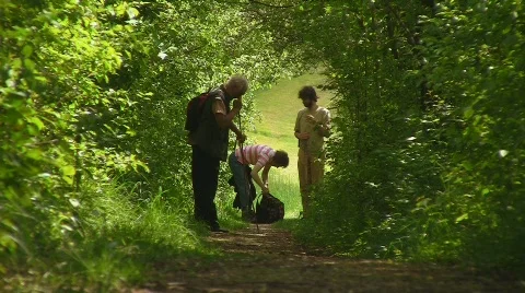 Trip through forest Stock Footage 724058