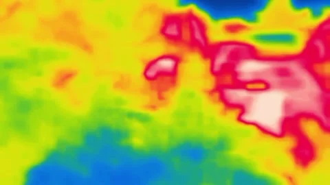 A trip through the forest infrared Stock Footage 325976705