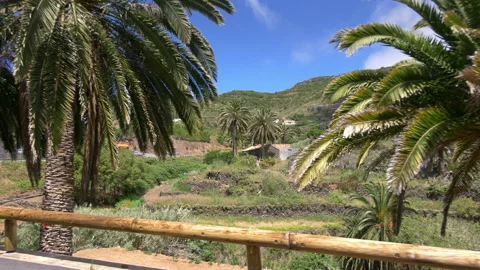Trip through La gomera island in Spain in 4k slow motion 60fps 库存影片 113876538