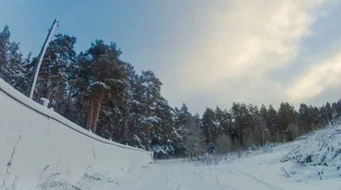 Trip in the Winter Woods Stock Footage 61354362