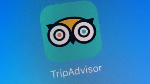 TripAdvisor App Icon Launching On Smartphone Screen Stock Footage 77576252