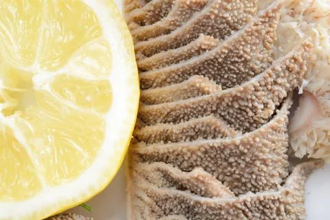 Tripe with lemon Stock Photos