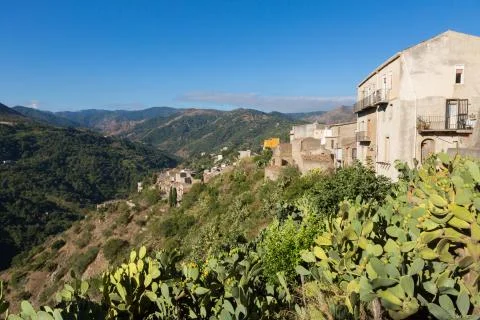TRIPI landscape Stock Photos