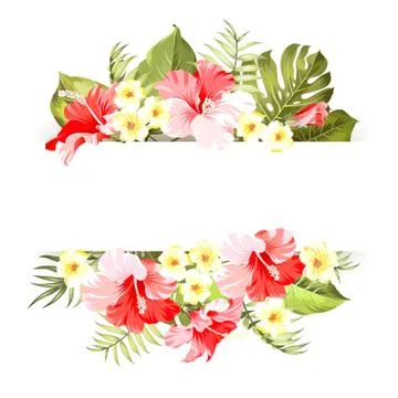 Tripical flowers elements Illustrazione stock