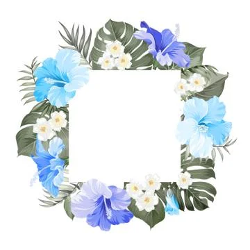 Tripical flowers elements Stock Illustration
