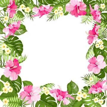 Tripical flowers elements Illustrazione stock