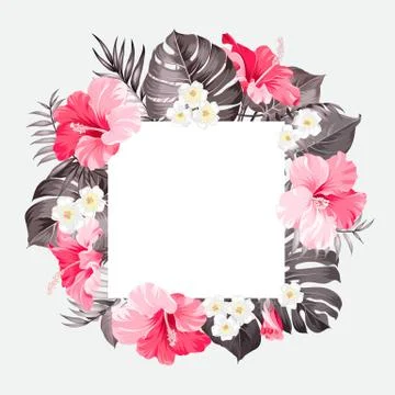 Tripical flowers elements 스톡 일러스트