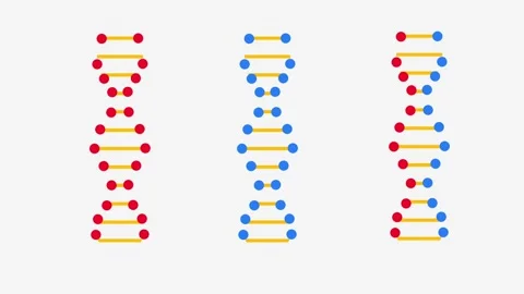 Triple DNA Pattern Stock Footage 335624469