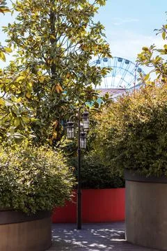 Triple lantern on the path in the middle of decorative southern trees and bushes Stock Photos