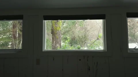 Triple windows framing a mossy forest view Video stock 329954208