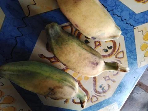 TripletBananas Stock Photos