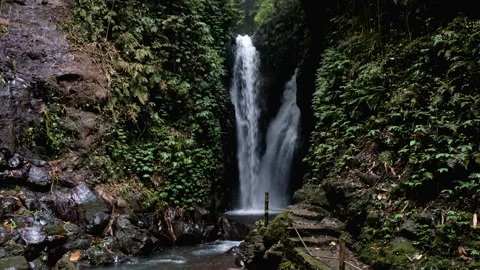 Tripod footage of Git Git waterfall on rainy day. Gitgit, Bali, Indonesia. Stock Footage 286003522