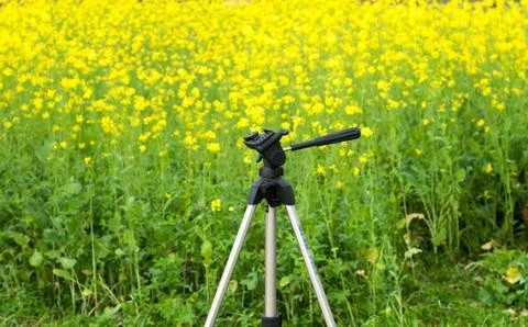 Tripod Stock Photos