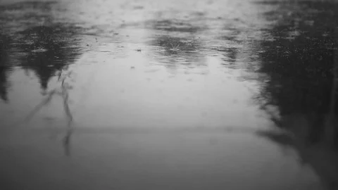 Tripod: rain drops on the asphalt Stock Footage 94614667