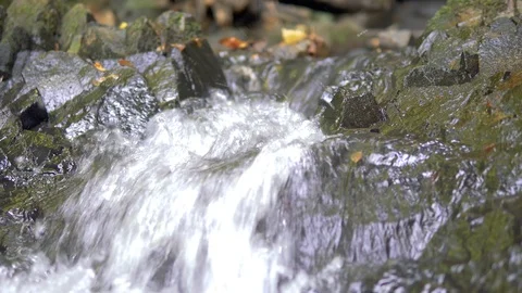 Tripod: River flowing over rocks Stock Footage 115075999