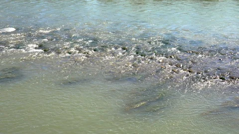 Tripod: river flowing slowly over the rocks Stock-Footage 113519600