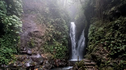 Tripod shot of Git Git waterfall on cloudy day. Gitgit, Bali, Indonesia. Video stock 286003480