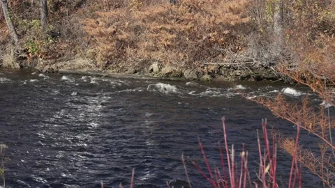 Tripod shot of stream flowing by, 4k Stock Footage 164970243