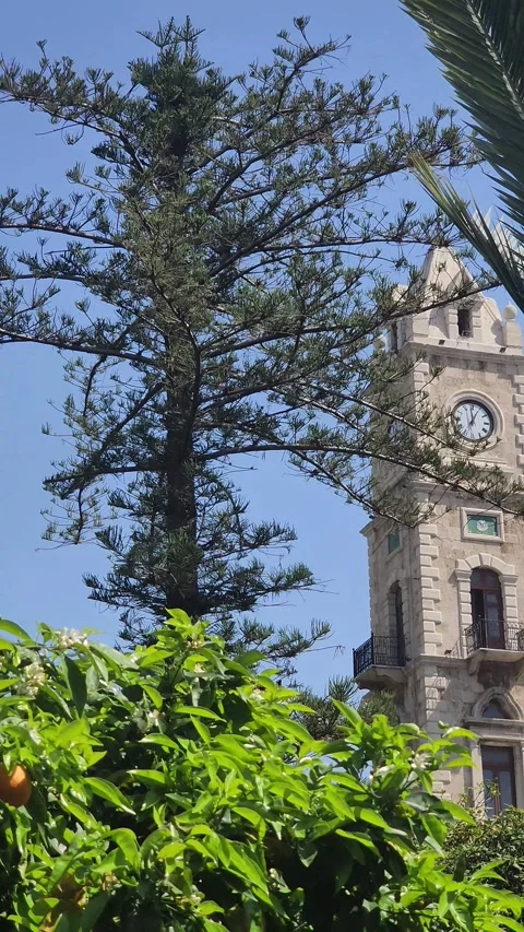 Tripoli Clock Tower partially obscured by trees Stock-Footage 314313928