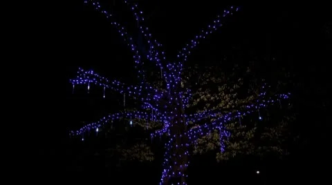 Trippy drippy tree Stock Footage 8931520