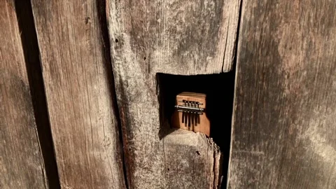 Trippy Kalimba Stock Footage 168924120