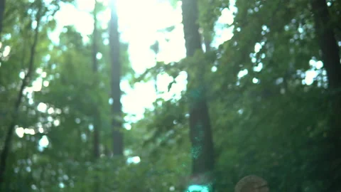 Trippy Spinning out of focus while looking up though the tree tops as the Stock Footage 139308508