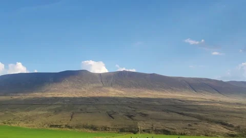 TriptoDingle1short Stock Footage 308634964