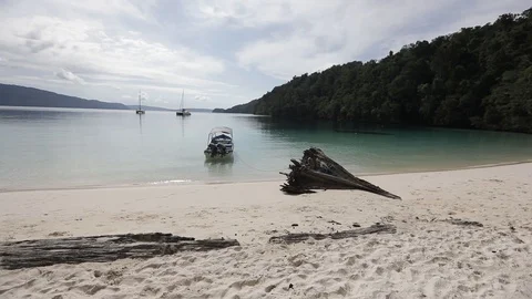 TRITON BAY Stock Footage 127614846