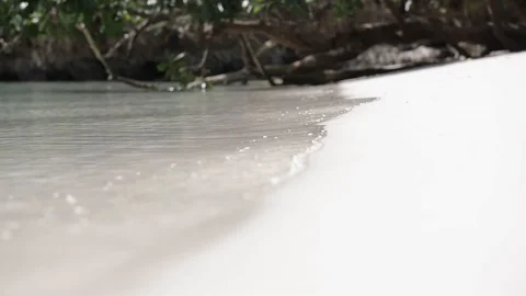 TRITON BAY Stock Footage 127614880