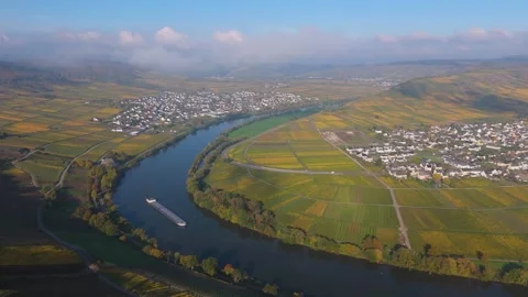 Trittenheim, Moselle Valley with loop of Mosel river, aerial view, riesling Stock Footage 341466194