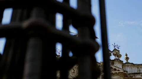 Triumph symbol close up Stock Footage 42756276