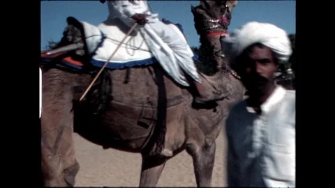 Triumphant Camel Rider Stock Footage 276293283