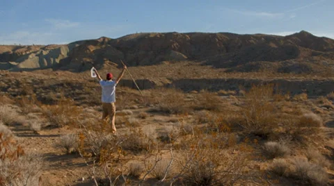 Triumphant in desert Vídeos de archivo 37681123