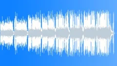 Triumphant Symphony 79s (Celebratory Joyful Upbeat Festive Happy Epic Energetic)Stock Music