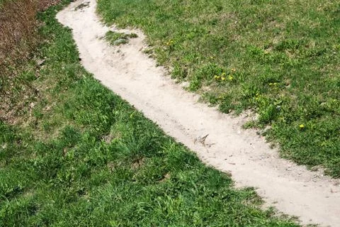 Trodden path in the field Stock Photos