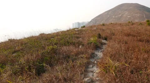 Trodden path lie over dry grass on top of island, small uninhabited Ap Lei Pai Video stock 57331131