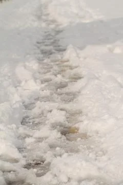 Trodden path Stock Photos