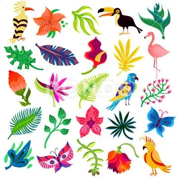 Troipcal Flora And Fauna Stock Illustration