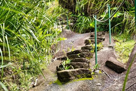 Trois frere nature trail, Man made stephs with rocks and hand rail  Mahe, Se Stock Photos