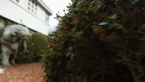 Troll Sculptures Weta Workshop #2 Stock Footage 86674253