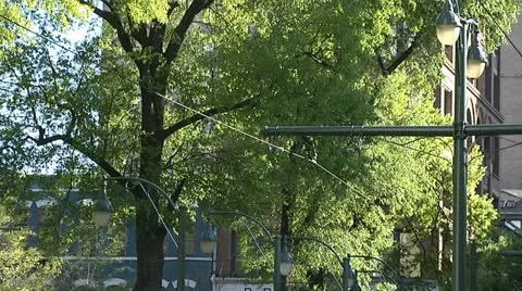 TROLLEY 3 Stock Footage 11146367