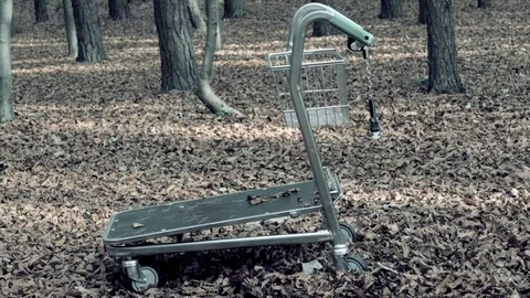  Trolley in the forest. Stock Footage 73480163