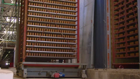 Trolley transporting red bricks for drying Stock Footage 158945786